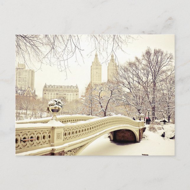 Central Park Snow - Winter New York Postkarte (Vorderseite)
