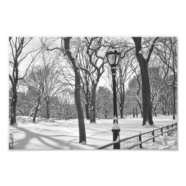 Central Park Snowfall B&W Fotodruck (Vorne)