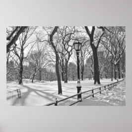 Central Park Snowfall B&W Poster