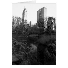 Central Park South Skyline NYC