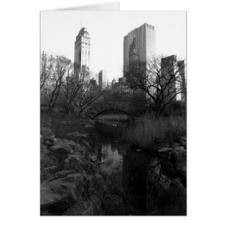 Central Park South Skyline NYC