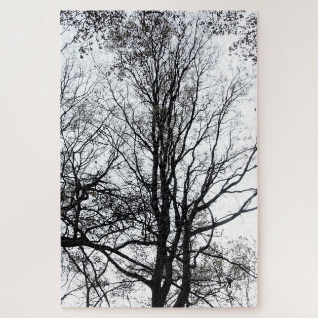 Central Park Spätherbst fast Barren Tree B&W (Vertikal)
