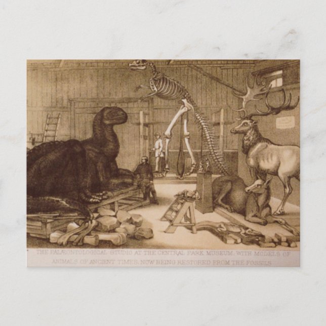 Central Park Studio Benjamin Waterhouse Hawkins Postkarte (Vorderseite)