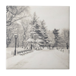 Central Park-Winter-Weg - New York City Fliese