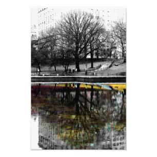 Central- Parkbaum-Reflexions-Foto Fotodruck