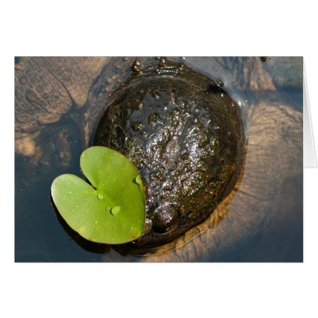 Centré (Devant horizontal)