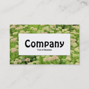 Centre Label - Blauer Herbst Visitenkarte