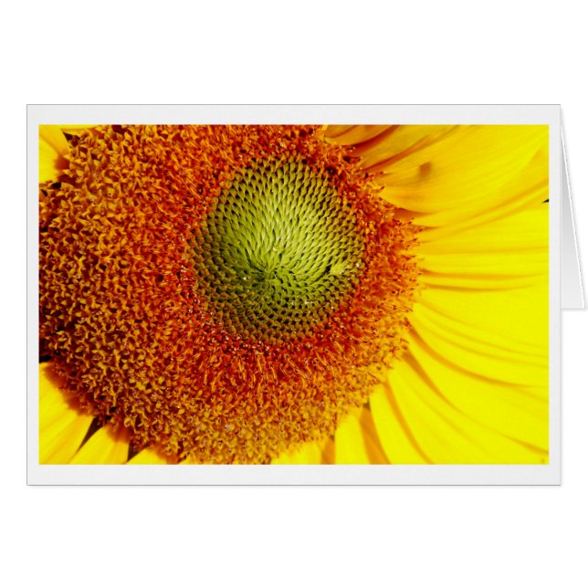 Centre solaire (Devant horizontal)