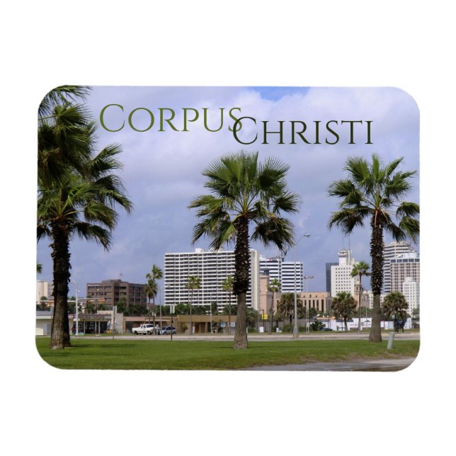 Centre-ville Corpus Christi Texas Souvenir Magnet (Horizontal)