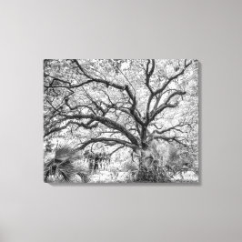 "Century Oak" Black and White Wall Art  Leinwanddruck