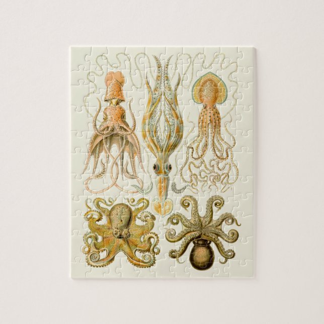 Cephalopod Octopus Tintenfisch Meeresnatur (Vertikal)