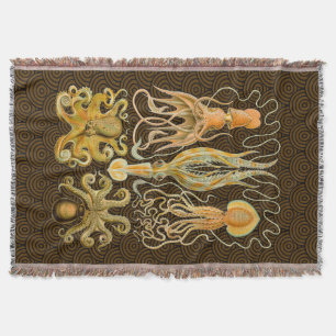 Cephalopod Octopus Tintenfisch Meeresnatur Decke