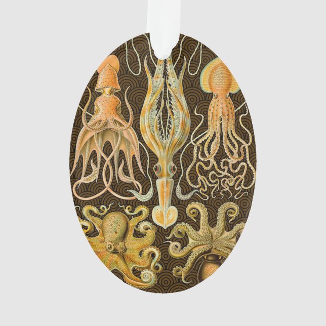 Cephalopod Octopus Tintenfisch Meeresnatur Ornament (Rückseite)