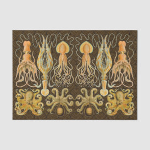 Cephalopod Octopus Tintenfisch Meeresnatur Seidenpapier