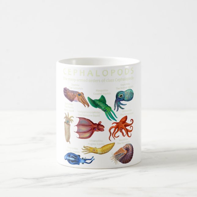 Cephalopod Octopus Tintenfisch Tintenfische Kaffeetasse (Mittel)