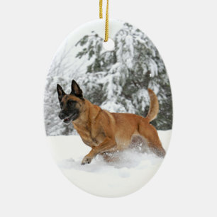 Céramique Belge Malinois en ornement 2 de neige