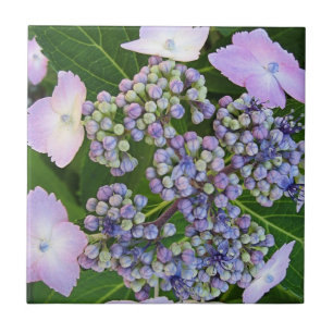 Céramique Casquette en dentelle lavande Hydrangea Carreau en