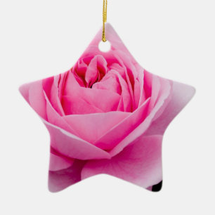 Céramique Ornement de rose de rose en pastel