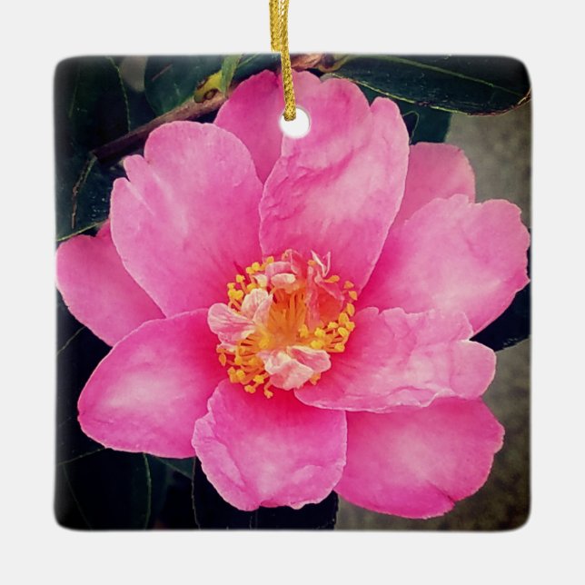 Céramique rose Camellia Ornement de Noël (Devant)