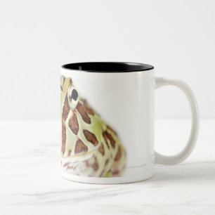 Ceratophrys Cranwelli, Cranwells gehörnter Frosch Zweifarbige Tasse