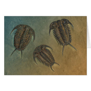 Ceraurus et Leviceraurus