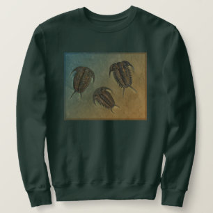 Ceraurus und Leviceraurus Sweatshirt