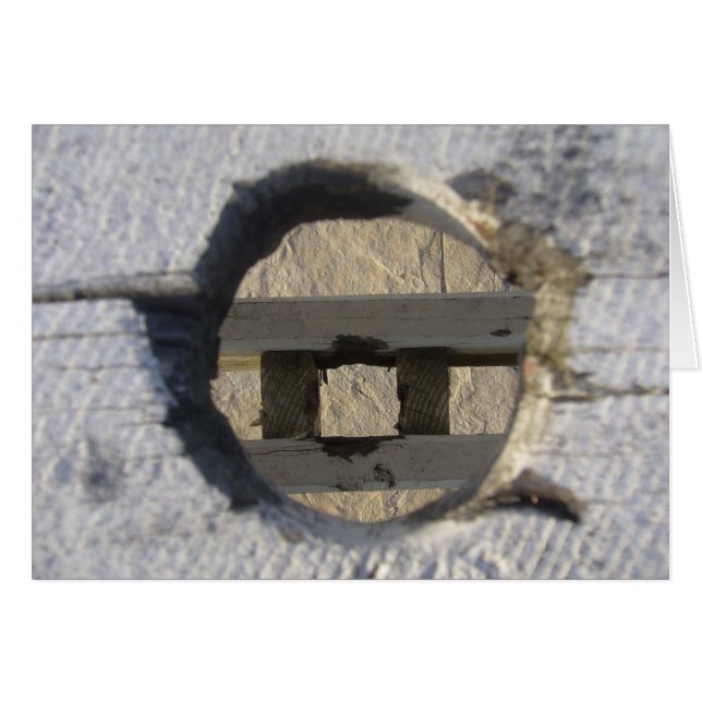 cercle (Devant horizontal)