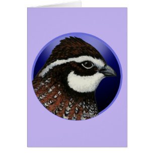 Cercle de tête de caille Bobwhite