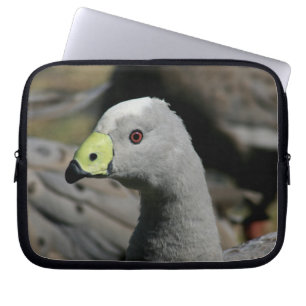 Cereopsis novaehollandiae oder Cape Barren Goose Laptopschutzhülle