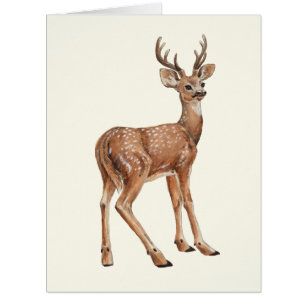 Cerf