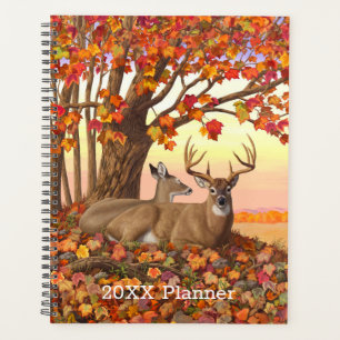 Cerf blanc en automne Nouvelle-Angleterre Couleurs