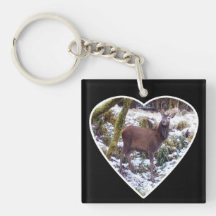 Cerf élaphe chute de neige hiver faune sauvage por