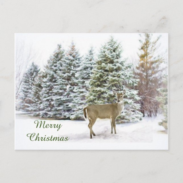 Cerf en hiver Wonderland Joyeux Noël Carte postale (Devant)