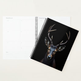 Cerf noir