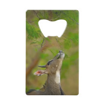 Cerf personnalisé