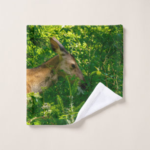 Cerf roux dans la forêt.