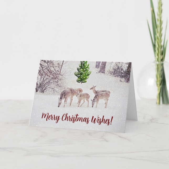 Cerf sauvage en neige Carte de Noël hiver (Devant)