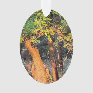 Cerf se cachant derrière l'ornement des arbres