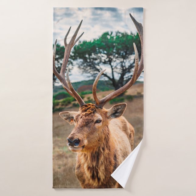 CERF SUR LE CHAMP GRAS BROWN SOUS LE CIEL NUAGE GR (Serviette de bain)