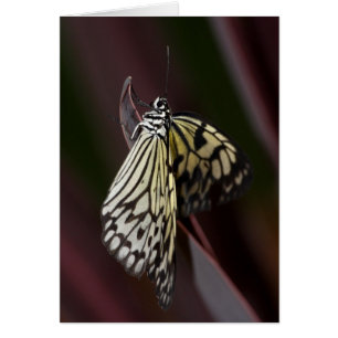 Cerf-volant en papier violet