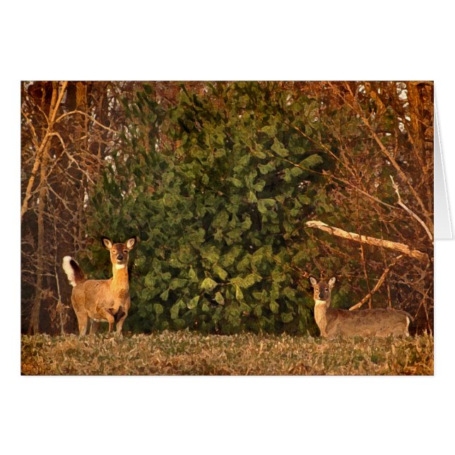 Cerfs communs à la carte vierge de lever de soleil (Devant horizontal)