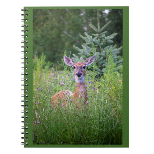Cerfs communs dans le carnet fleuri de photo de