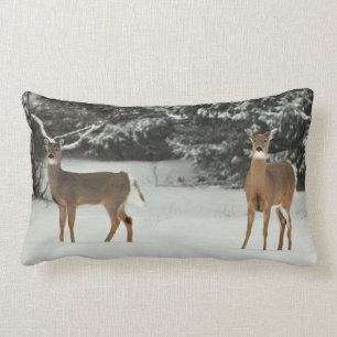 Cerfs communs dans le coussin de neige
