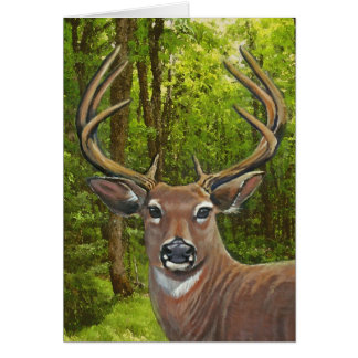 Cerfs communs dans le pré de cendre