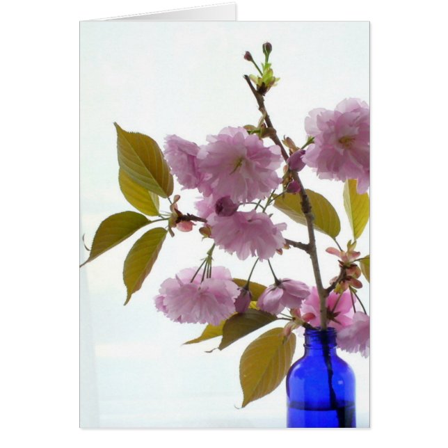 cerise de printemps (Devant)