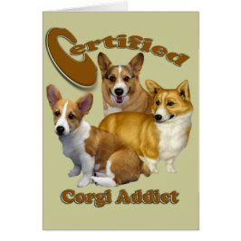 Certified Corgi Addict