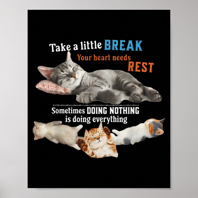 Certified Nap Expert Funny Lazy Cat Meme Cat Moms  Poster (Vorne)