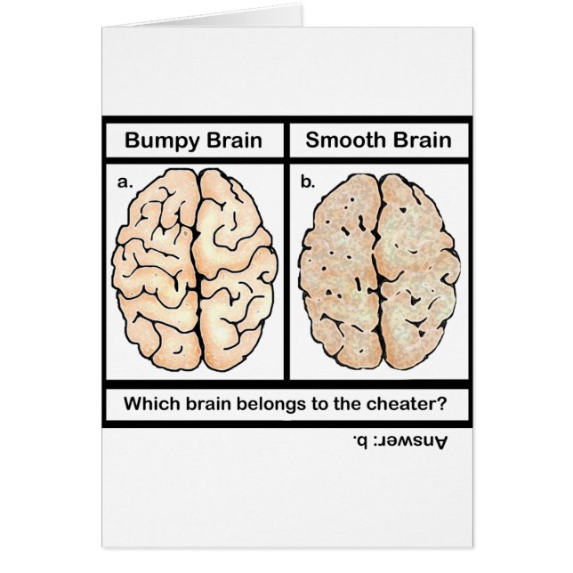 Cerveau de triche (Devant)