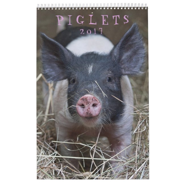 Ces porcelets - calendrier mural de 2017 animaux (Protection)