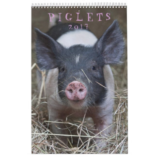 Ces porcelets - calendrier mural de 2017 animaux